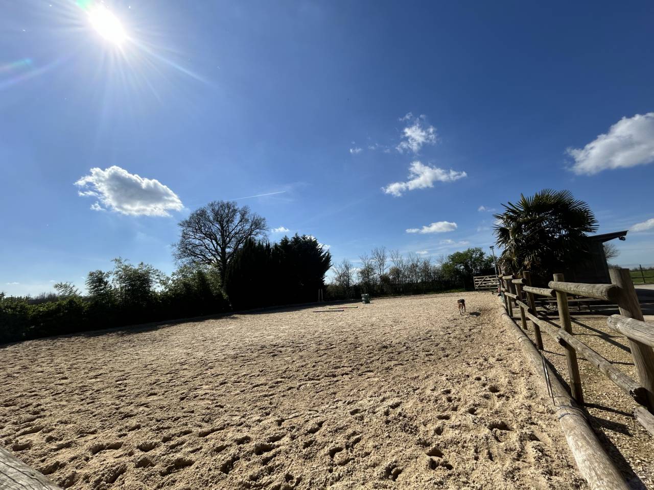 Centro ecuestre En venta Deux-S&egrave;vres