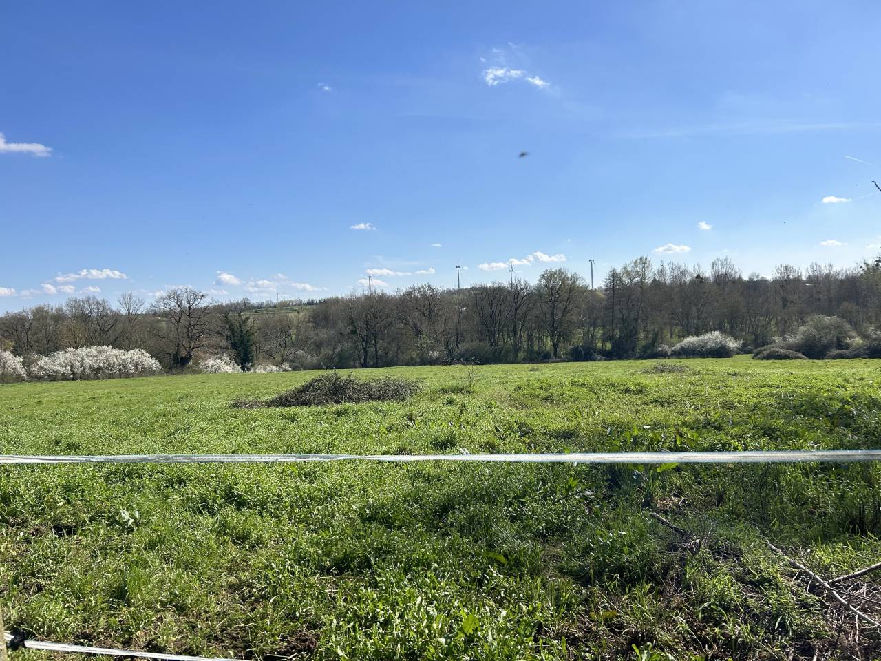 Centro ecuestre En venta Deux-S&egrave;vres