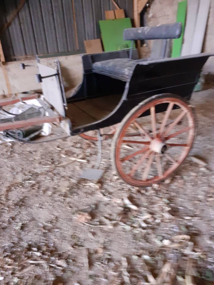 Coche enganches - Calesa   