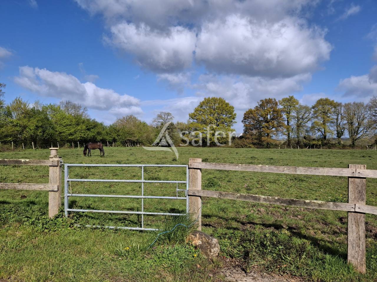 Explotaci&oacute;n agr&iacute;cola En venta Loira Atl&aacute;ntico