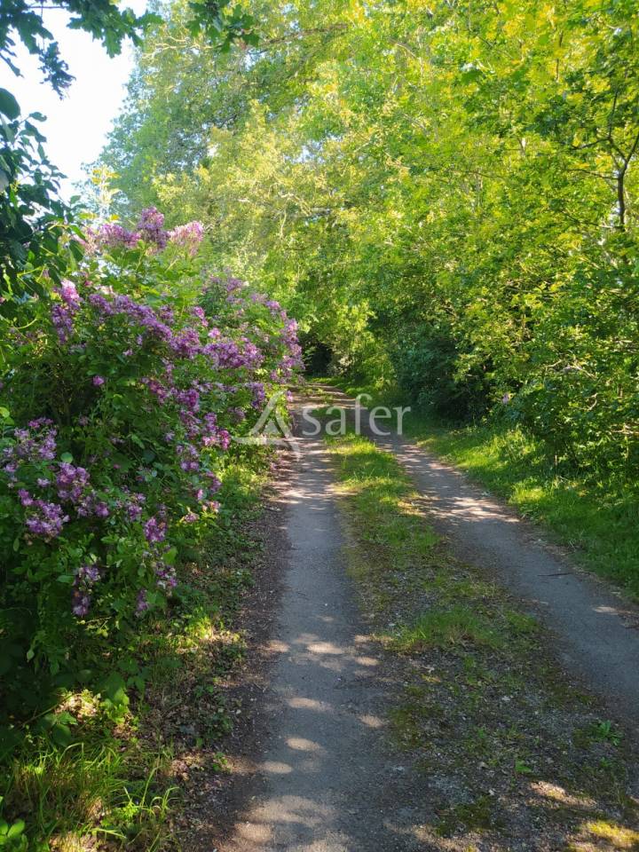 Explotaci&oacute;n agr&iacute;cola En venta Loira Atl&aacute;ntico