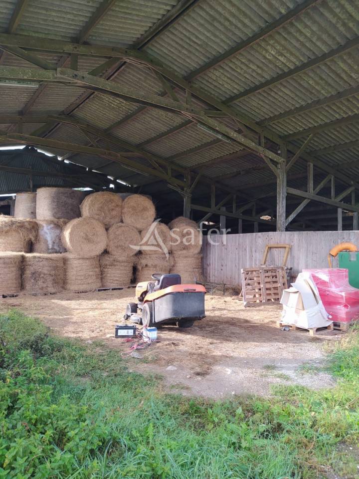 Explotaci&oacute;n agr&iacute;cola En venta Loira Atl&aacute;ntico