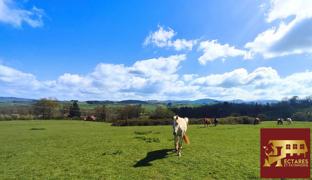 Propiedad ecuestre En venta Allier