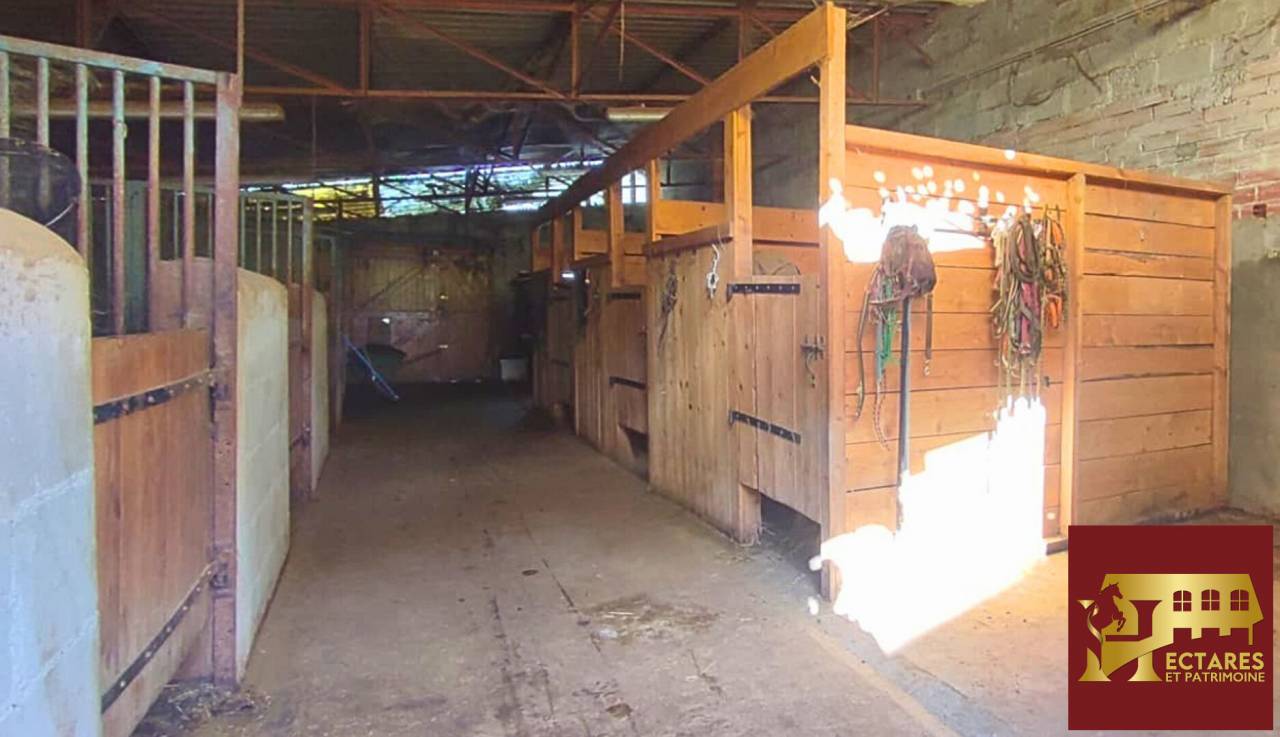 Propiedad ecuestre En venta Allier