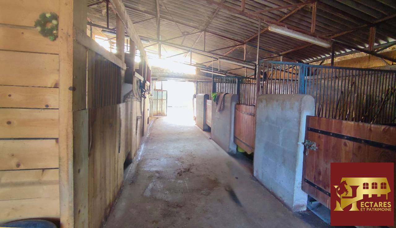 Propiedad ecuestre En venta Allier