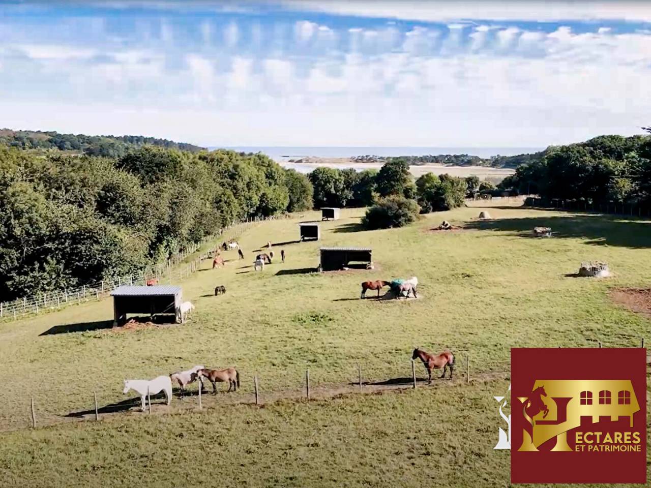 Centro ecuestre En venta C&ocirc;te d'Armor