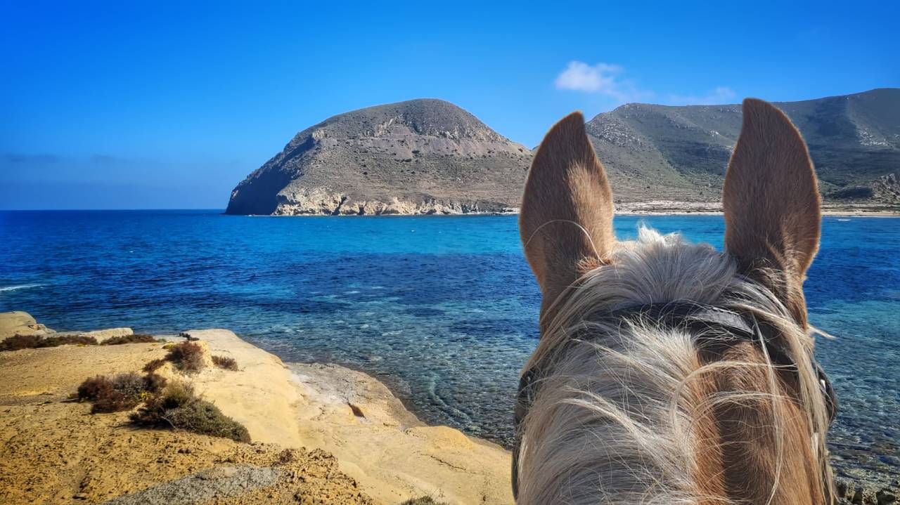 Gu&iacute;a y monitor de equitaci&oacute;n