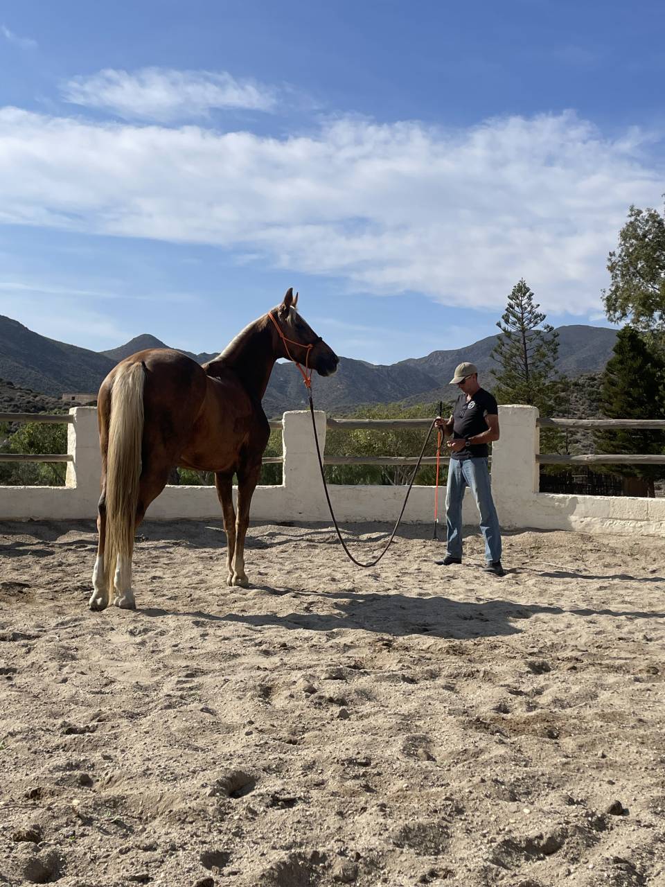 Gu&iacute;a y monitor de equitaci&oacute;n