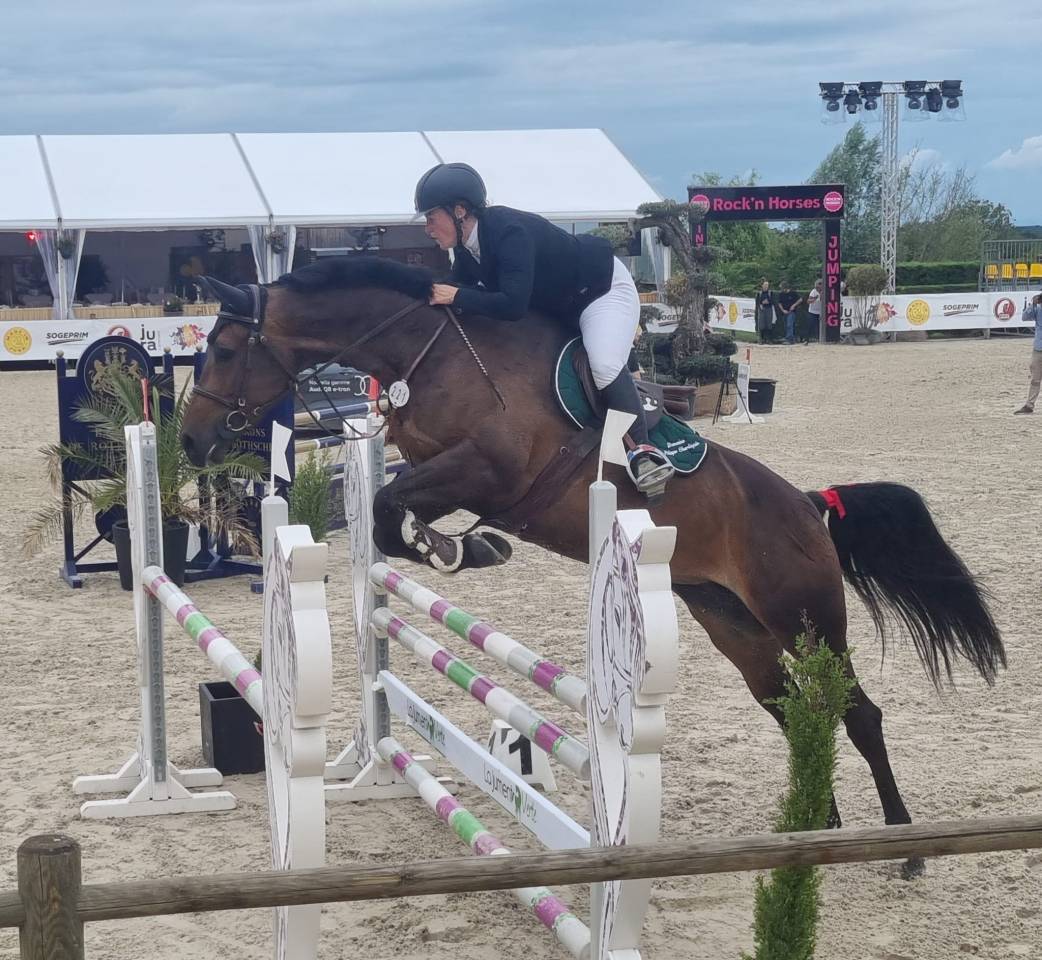 Yegua de ganader&iacute;a Caballo de Silla En venta 2016 Bayo