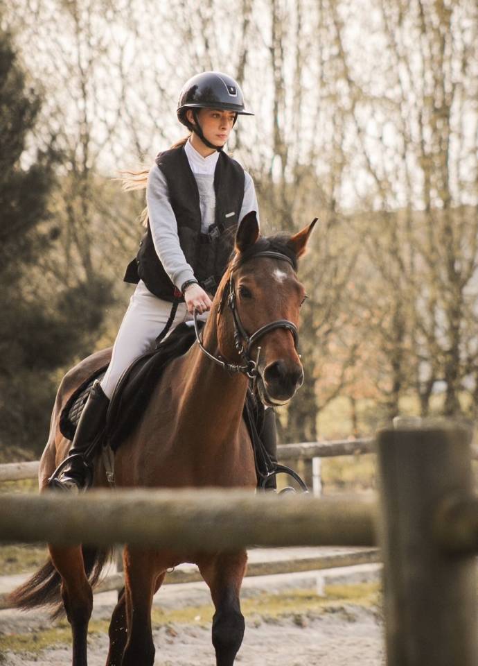 Yegua Silla Franc&eacute;s En venta 2021 Bayo por CONTENDRO