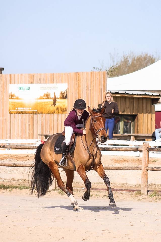 Yegua Silla Franc&eacute;s En venta 2021 Bayo