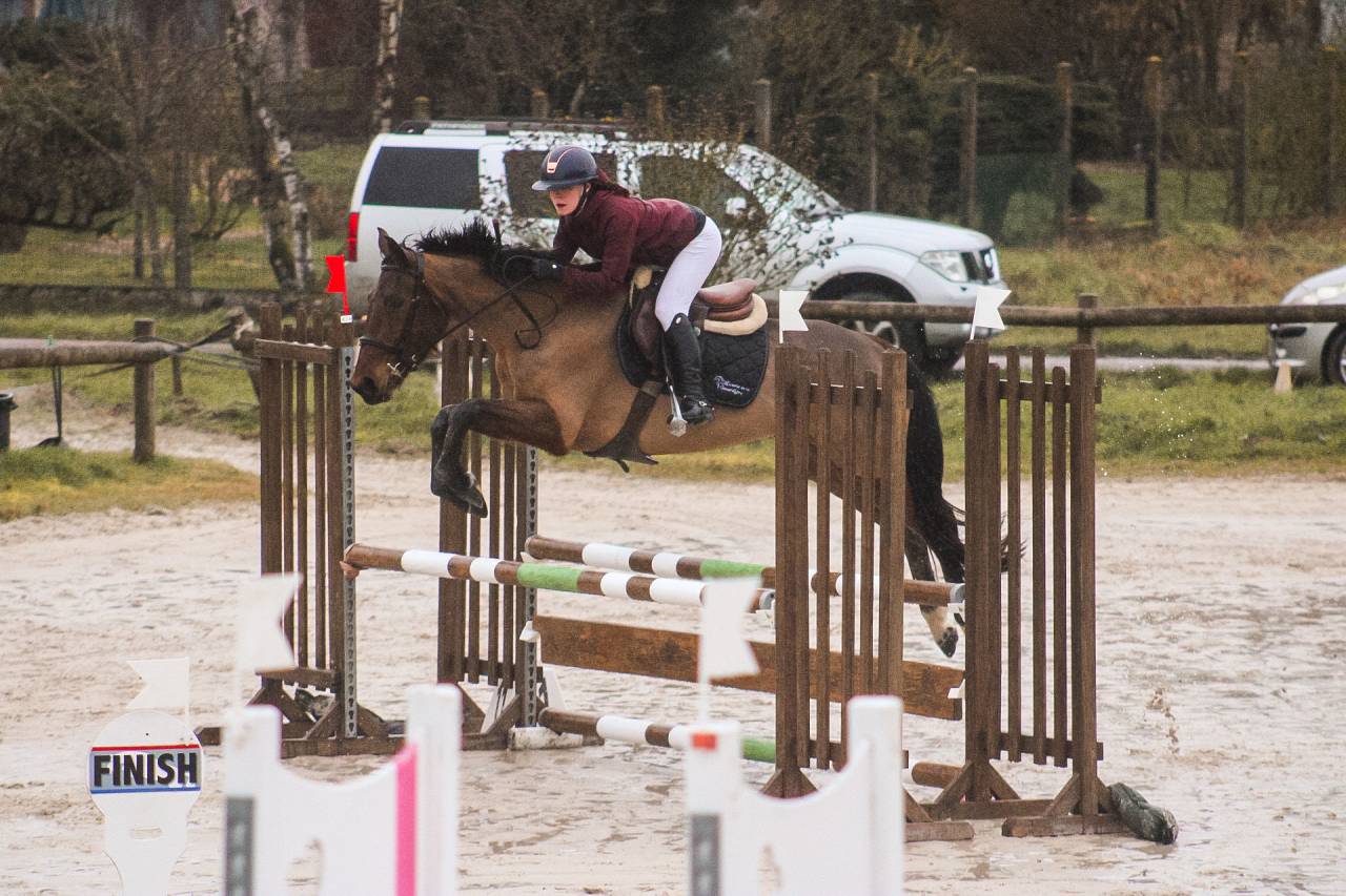 Yegua Silla Franc&eacute;s En venta 2021 Bayo