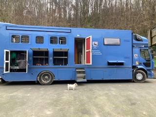 Cami&oacute;n para caballos Renault 44HH1 2011 De segunda mano