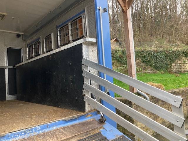 Cami&oacute;n para caballos Renault 44HH1 2011 De segunda mano