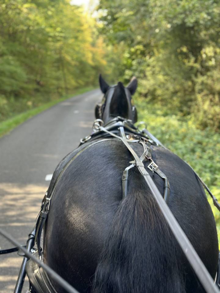 Bonita residencia ecuestre En venta Eure