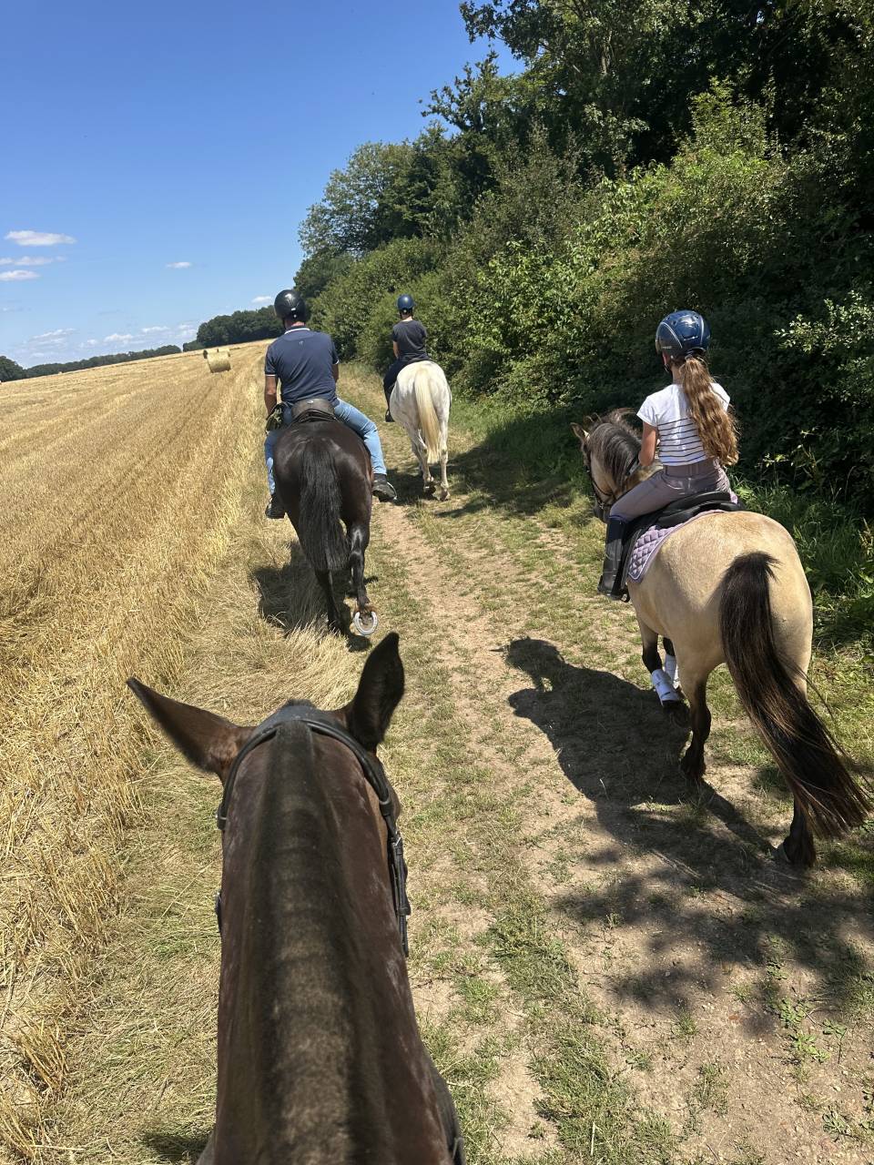 Bonita residencia ecuestre En venta Eure