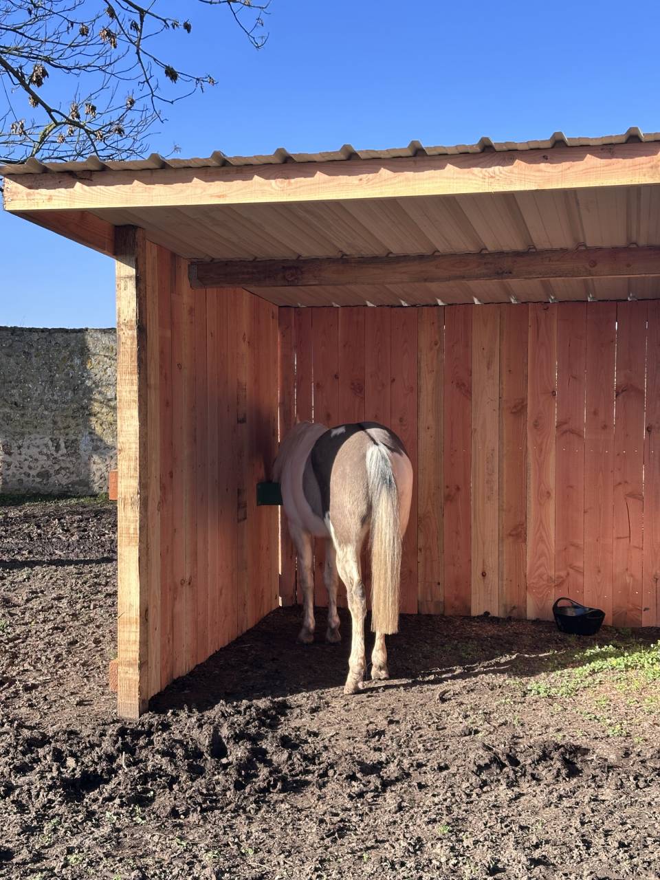 Bonita residencia ecuestre En venta Eure