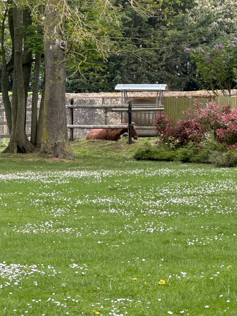 Bonita residencia ecuestre En venta Eure