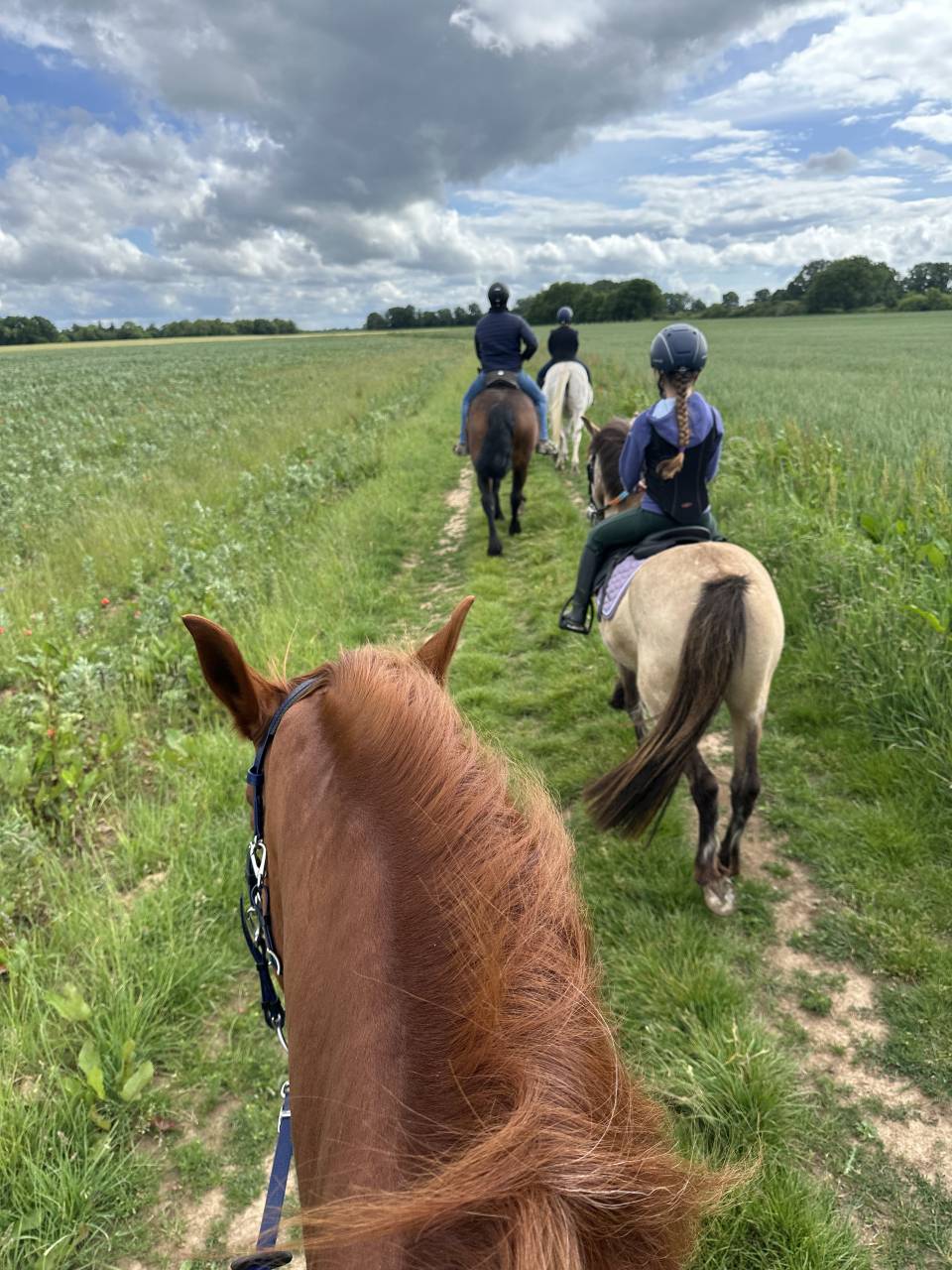 Bonita residencia ecuestre En venta Eure