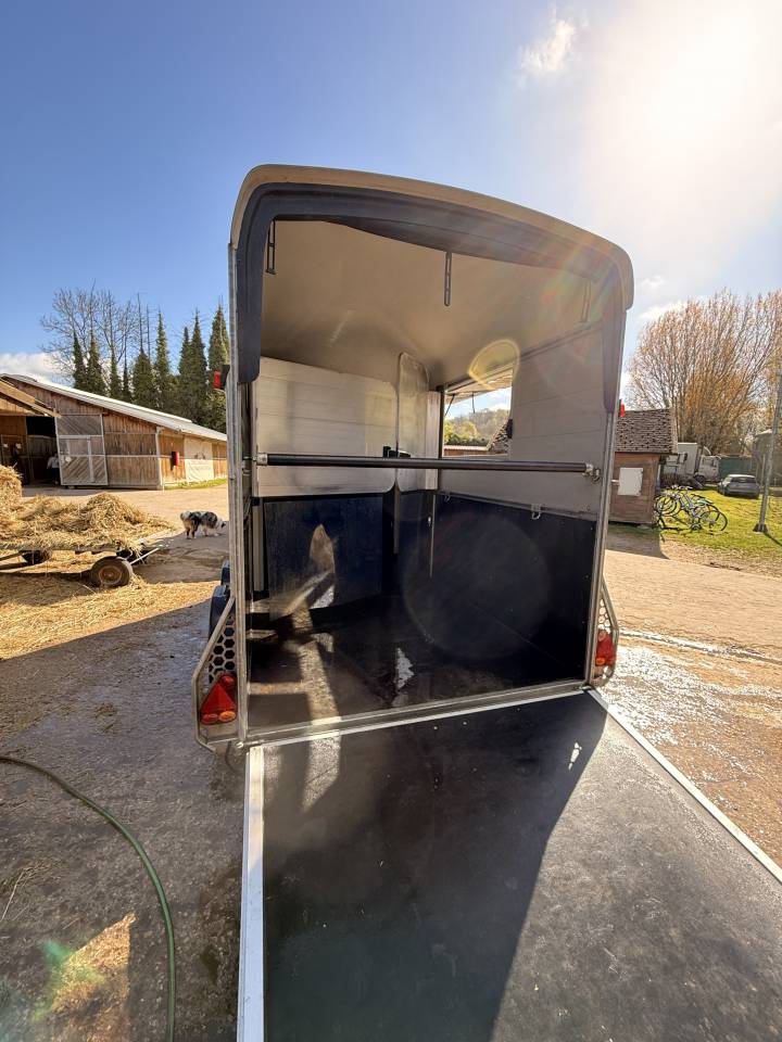 Van caballos Cheval Libert&eacute; Maxi 2 2 Caballos 2021 De segunda mano