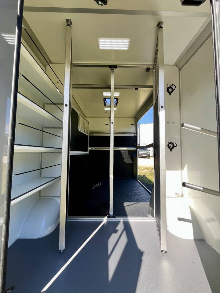 Furgoneta para caballos STX  2026 Nuevo