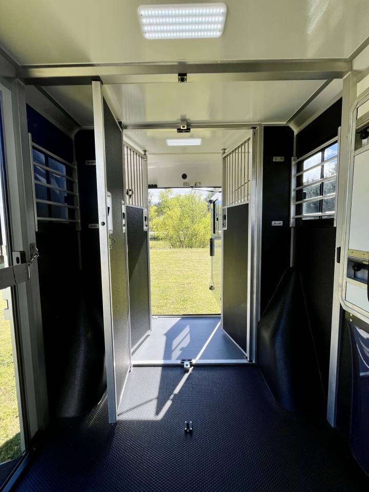 Furgoneta para caballos STX  2026 Nuevo