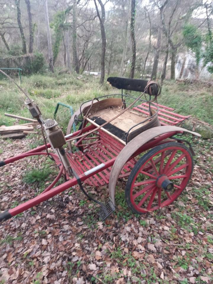 Coche enganches - Calesa   
