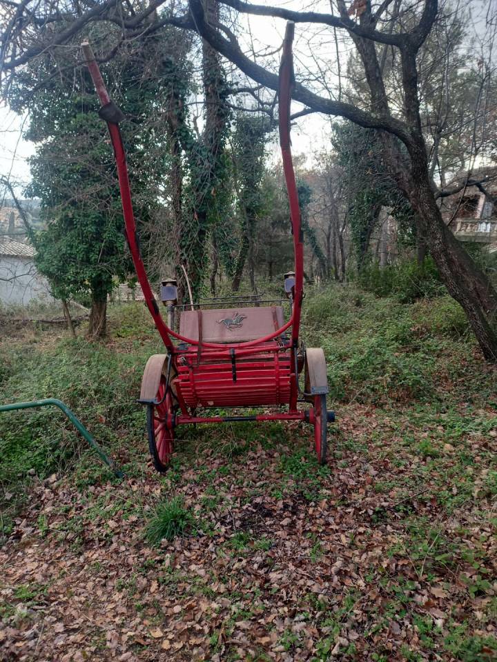 Coche enganches - Calesa   