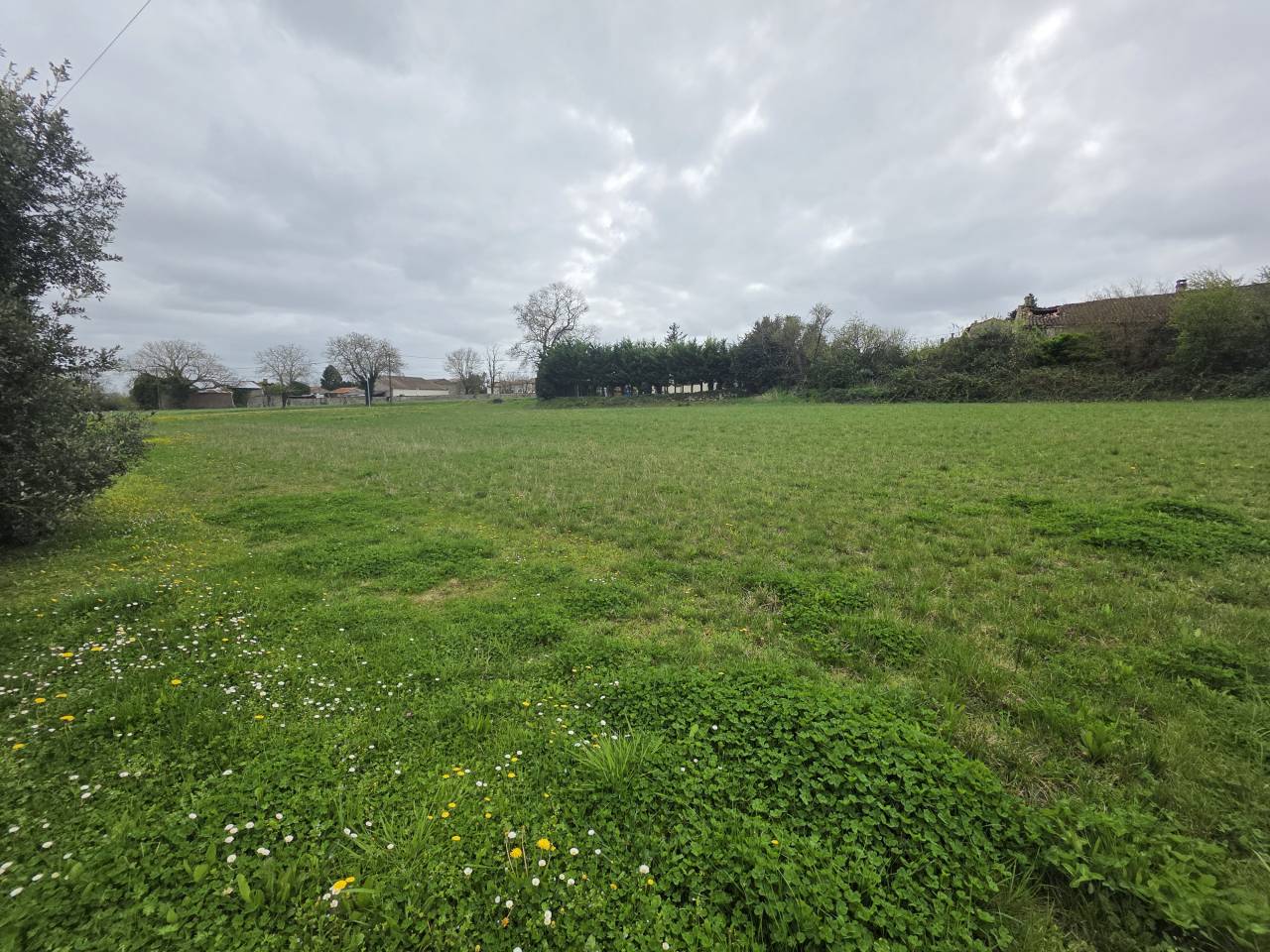 Propiedad ecuestre En venta Charente Mar&iacute;timo