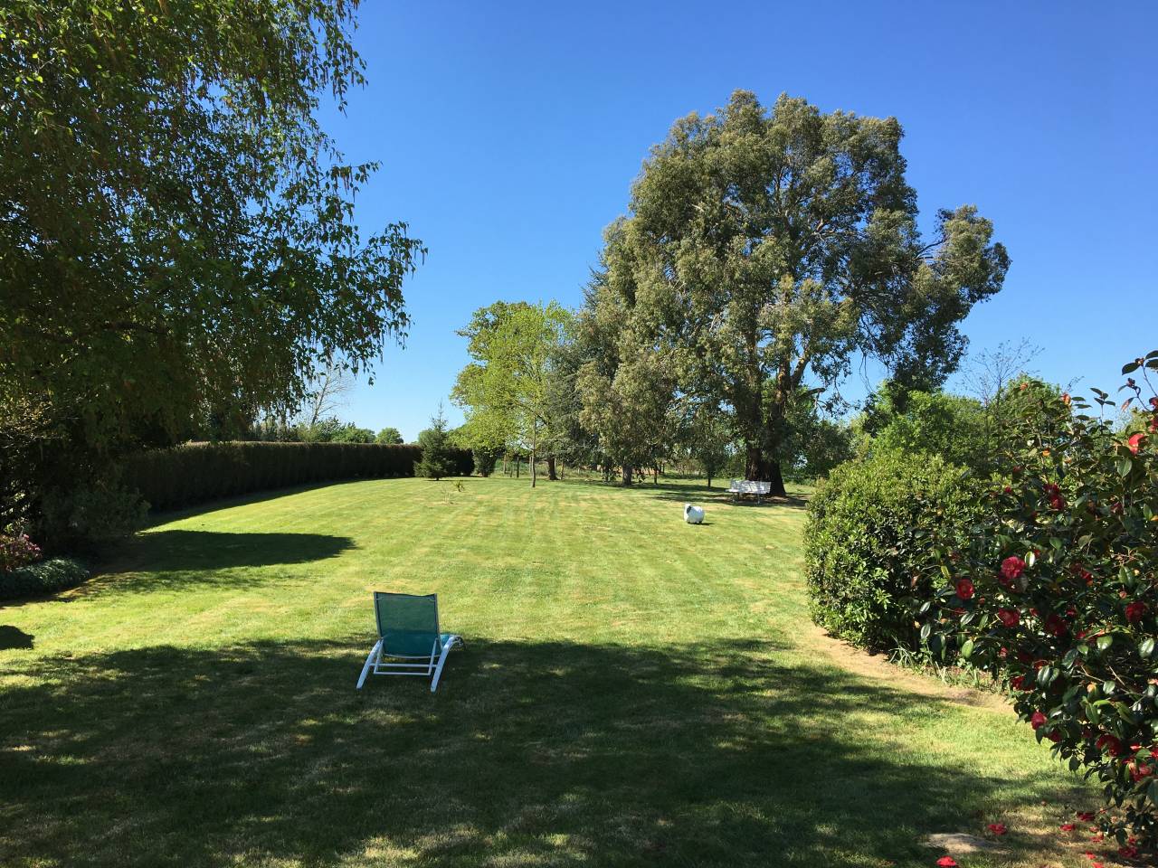 Propiedad ecuestre En venta C&ocirc;te d'Armor