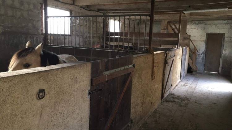 Propiedad ecuestre En venta C&ocirc;te d'Armor