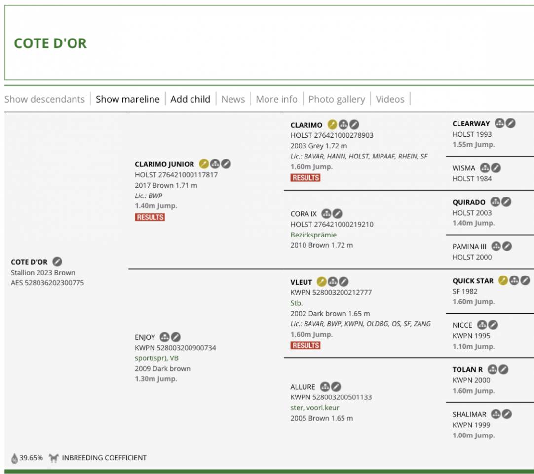 Potro 3 a&ntilde;os entero/stallion 