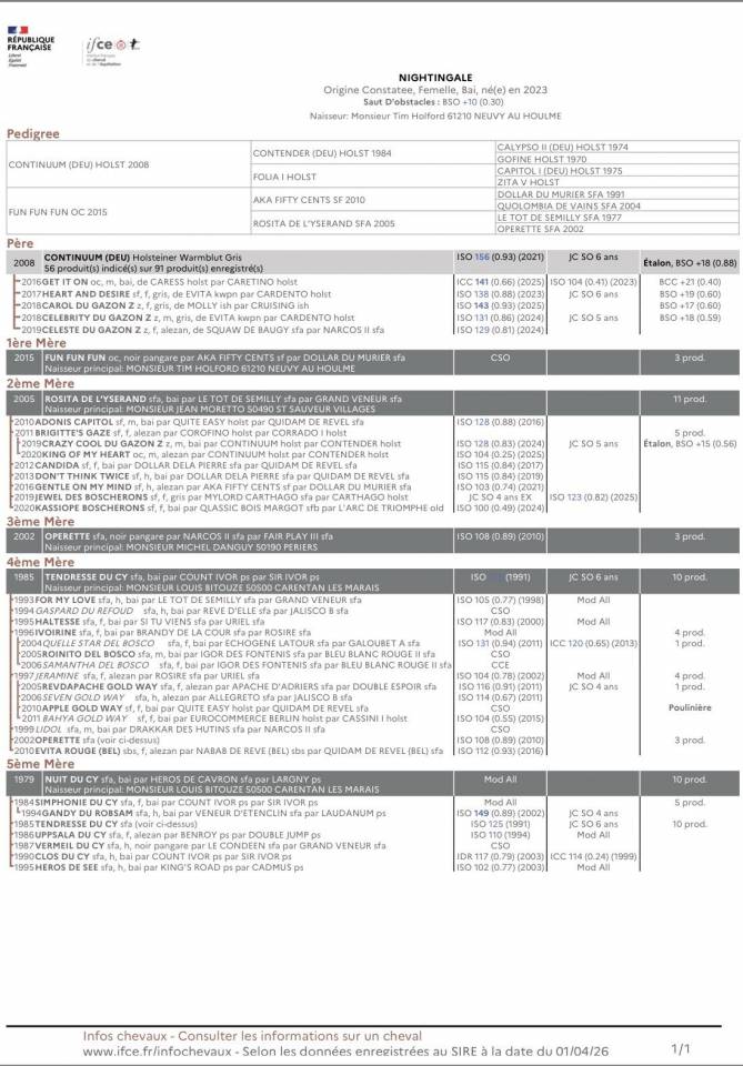 Yegua Origine Constat&eacute;e En venta 2023 Tordo por Continuum