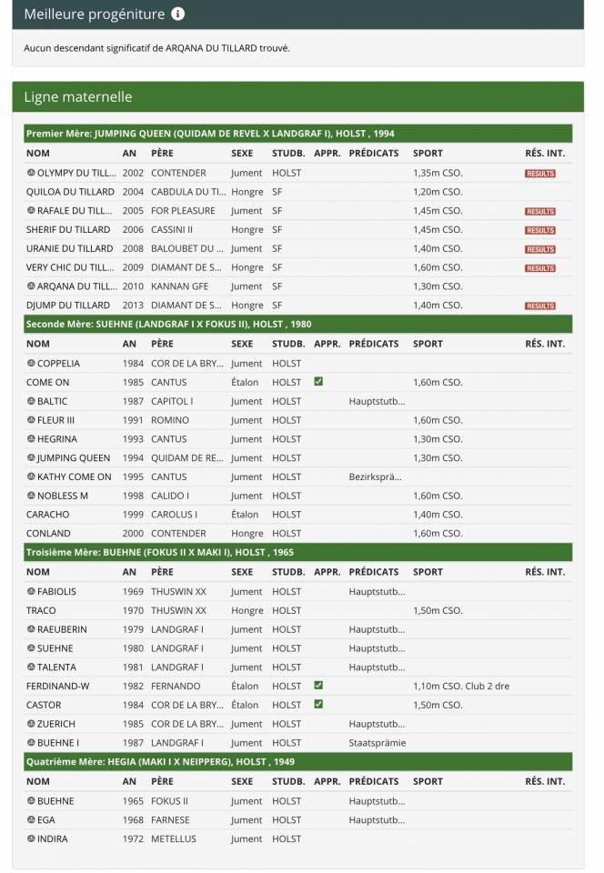 Yegua de ganader&iacute;a Silla Franc&eacute;s En venta 2010 Bayo por KANNAN