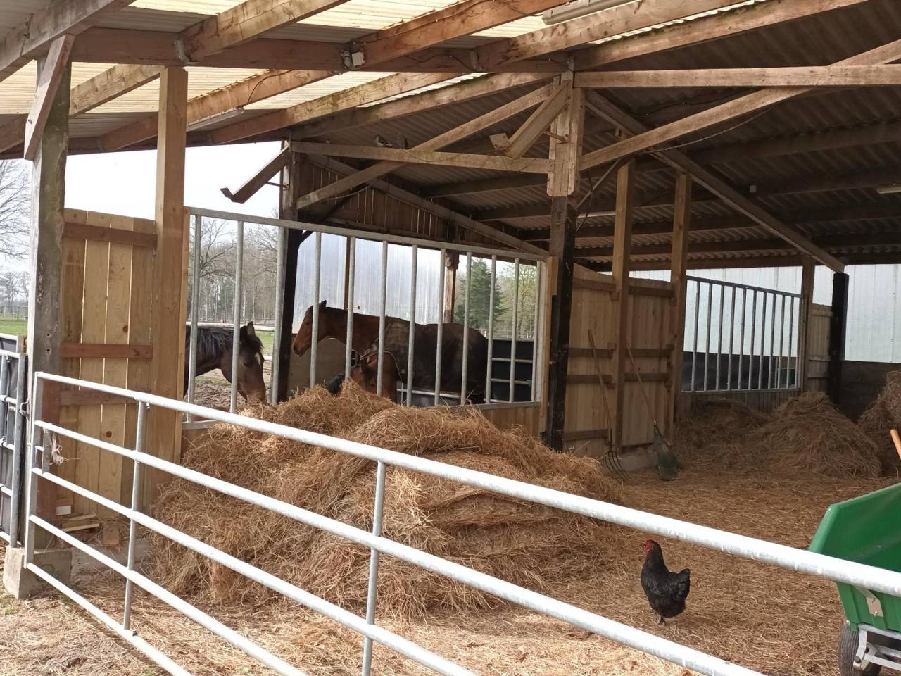 Propiedad ecuestre En venta Loira Atl&aacute;ntico