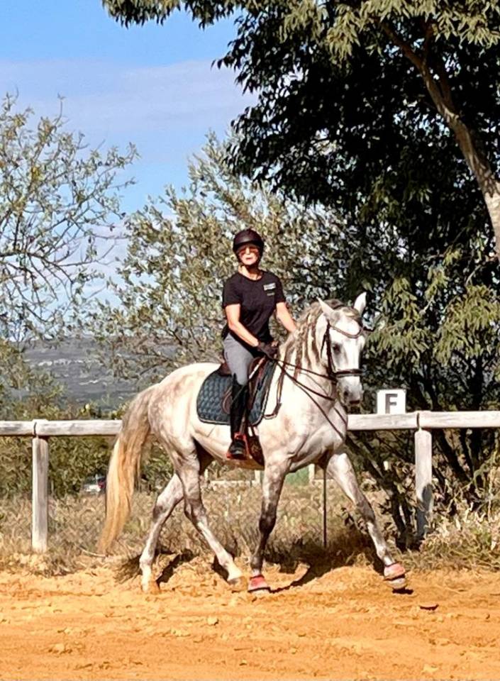 Caballo castrado Lusitano En venta 2015 Blanco por CANTOR JME PT