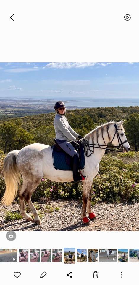 Caballo castrado Lusitano En venta 2015 Blanco por CANTOR JME PT
