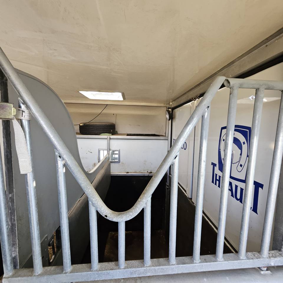 Furgoneta para caballos Peugeot Boxer  2012 De segunda mano