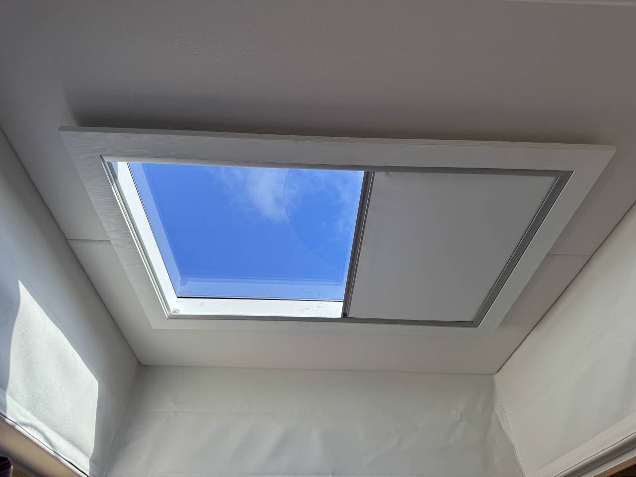 Cami&oacute;n para caballos STX  2016 De segunda mano