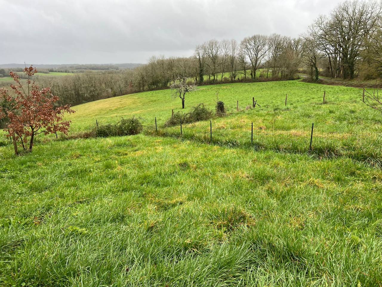 Bonita residencia ecuestre En venta Dordo&ntilde;a