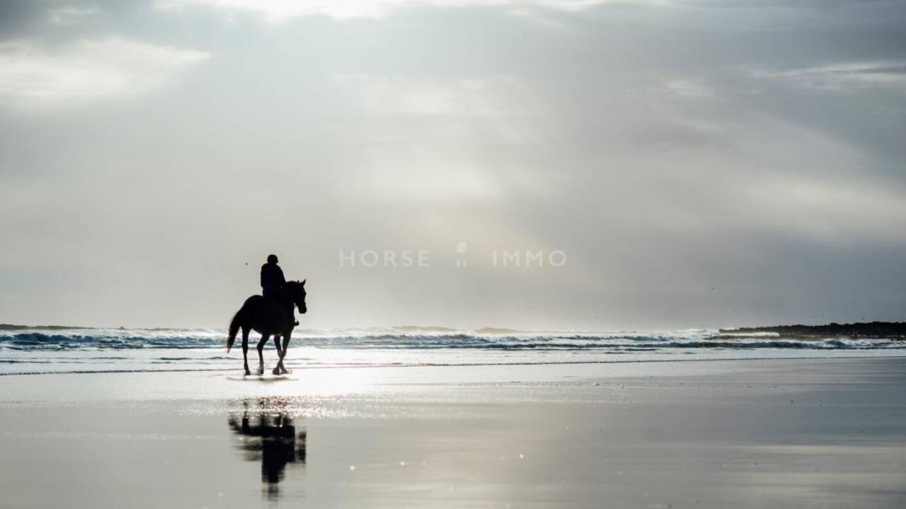 Propiedad ecuestre En venta Bocas del R&oacute;dano