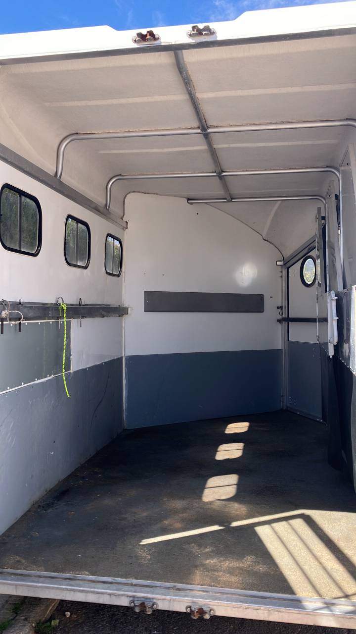 Van Bonilla 3 caballos 