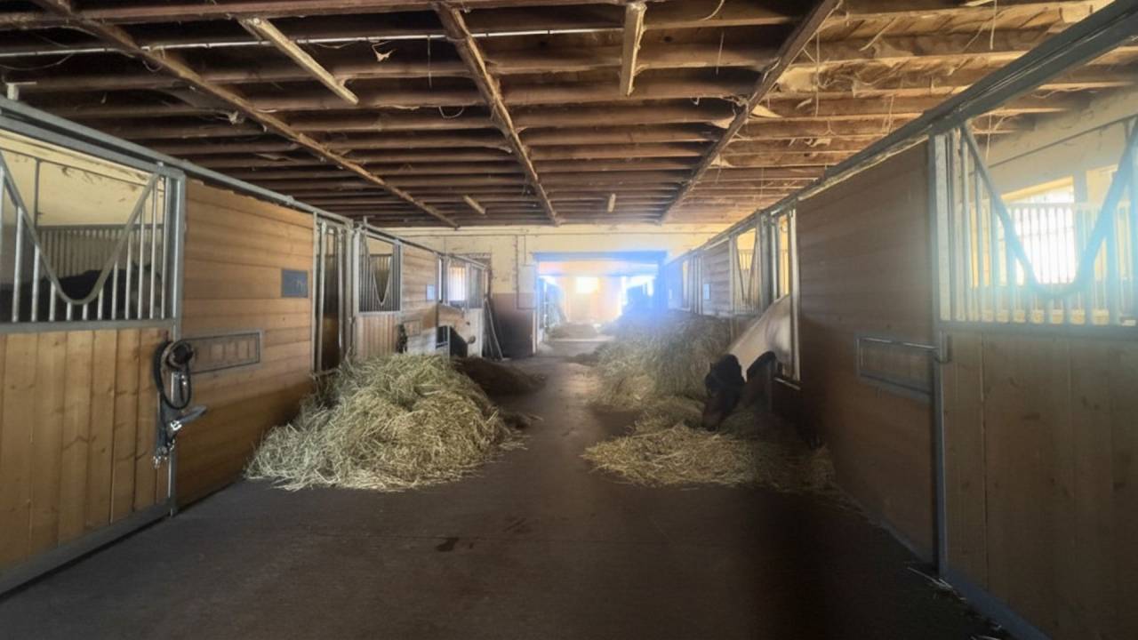 Propiedad ecuestre En venta Aveyron