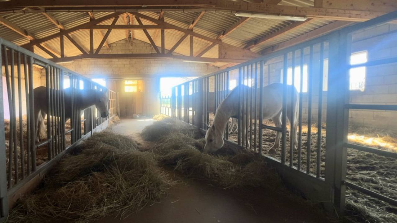 Propiedad ecuestre En venta Aveyron