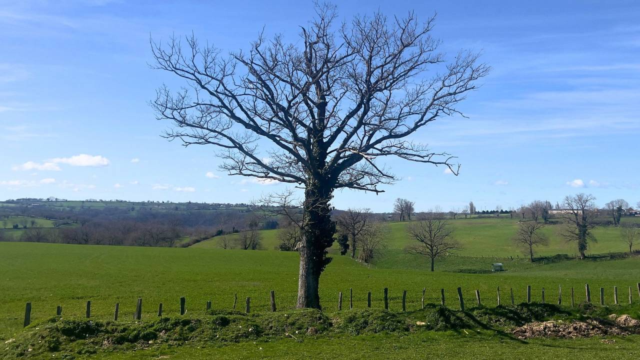 Propiedad ecuestre En venta Aveyron