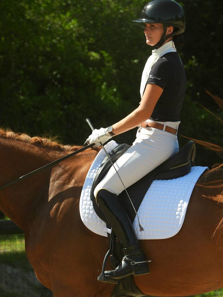 Yegua Silla Franc&eacute;s En venta 2020 Alaz&aacute;n por ARGENTINUS