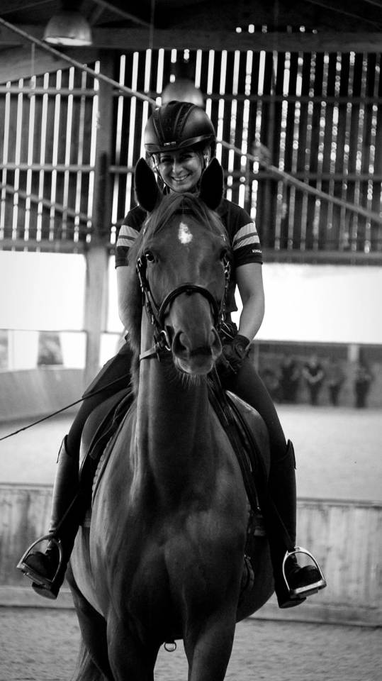 Yegua Silla Franc&eacute;s En venta 2020 Alaz&aacute;n por ARGENTINUS