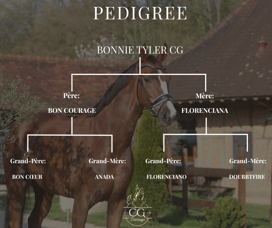 Yegua Hannoveriano En venta 2021 Alaz&aacute;n tostado por Bon Courage