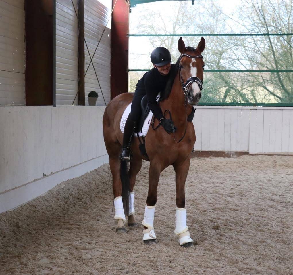 Yegua Hannoveriano En venta 2021 Alaz&aacute;n tostado por Bon Courage