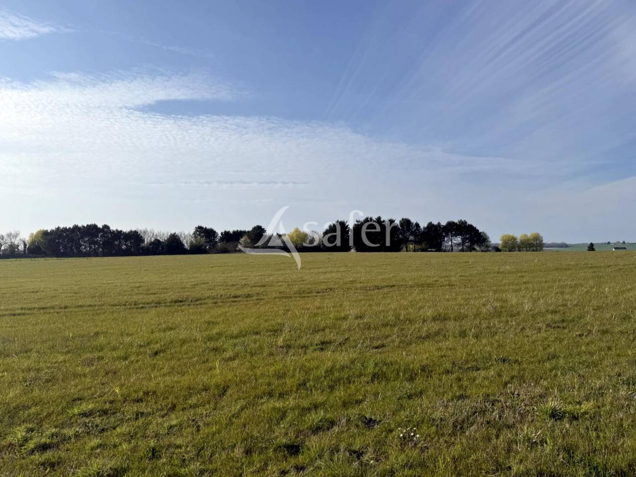 Propiedad ecuestre En venta Indre y Loira